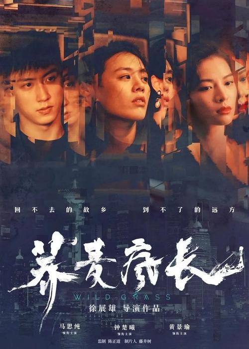 购买路易斯安那州驾照多少钱